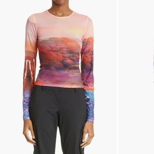 Sheer multi color Miaou top in medium worn once!